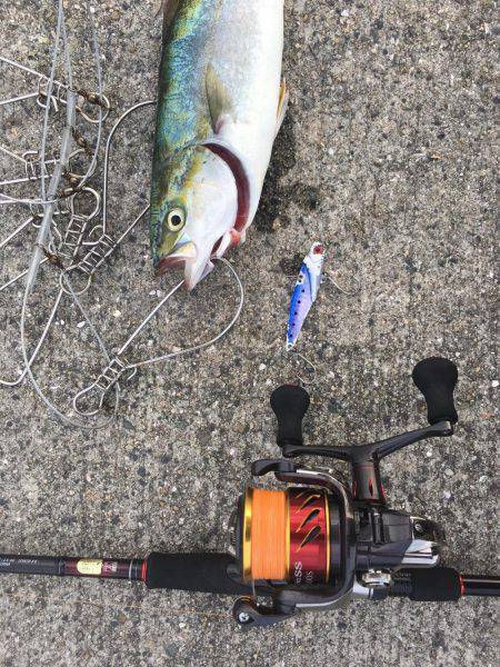 まだ一応ツバスの時合いあり