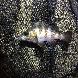 悪天候にはご注意を