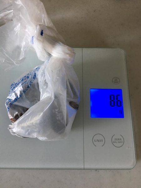 昼休30分タコ釣り!!