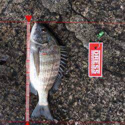 40オーバー中々こなーーい