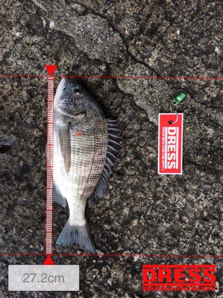 40オーバー中々こなーーい