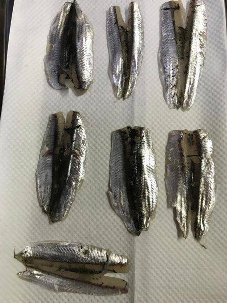 サビキリベンジ！