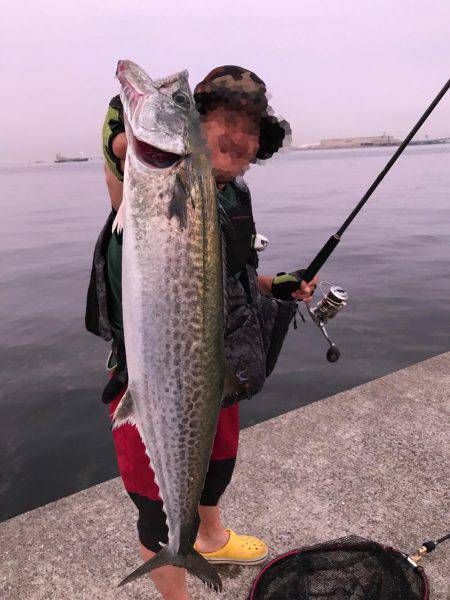 まだまだ おりますよ！