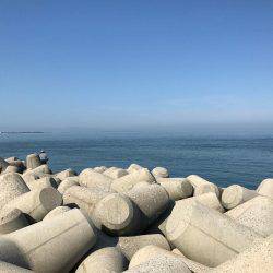 魚津港 フカセ夜釣りグレ