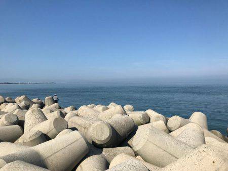 魚津港 フカセ夜釣りグレ