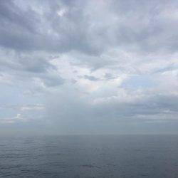 そろそろタチウオかな