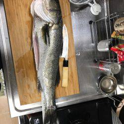 のませでやったりました。