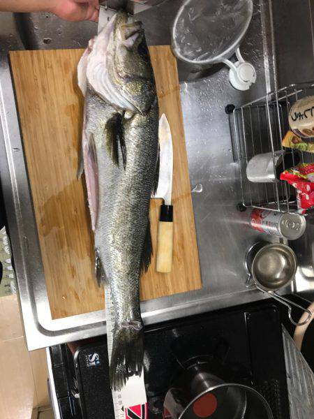 のませでやったりました。