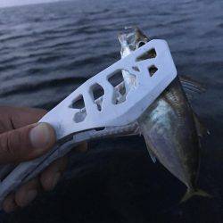 ライトゲームでカサゴ入れ食い！