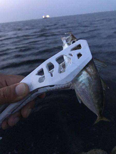 ライトゲームでカサゴ入れ食い！