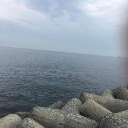 君、じゃないの!