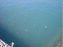 海上釣堀カタタ