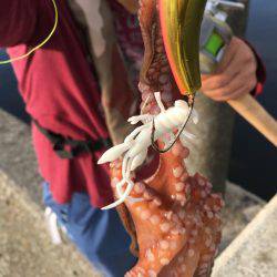 タコ連チャン釣行