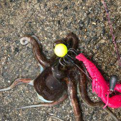 相変わらず厳しい