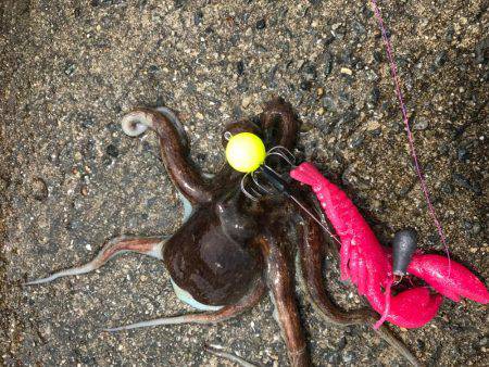 相変わらず厳しい