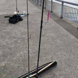 ツバスをつりたかったが。。。