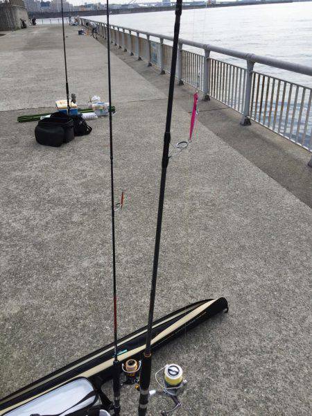 ツバスをつりたかったが。。。