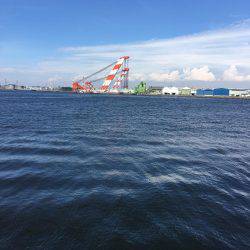 オクトパッシング