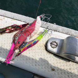 タコ  釣り船きもと  中潮