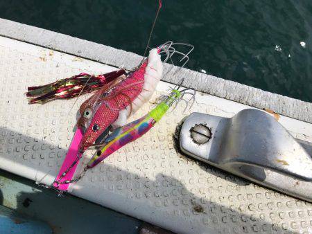 タコ  釣り船きもと  中潮