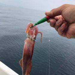 マイボートで昼間のイカメタルゲーム