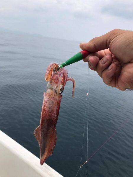 マイボートで昼間のイカメタルゲーム