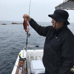 日本海ボートロック&ジギング