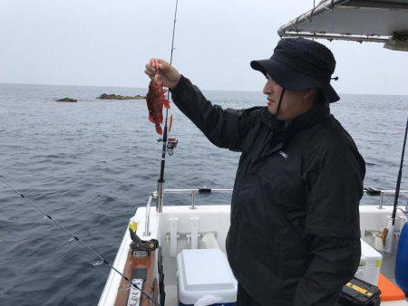 日本海ボートロック&ジギング