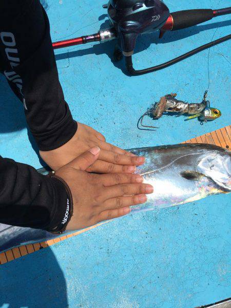 出島漁港 太丸 タチウオテンヤ