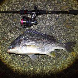 ちょっくらライトゲーム