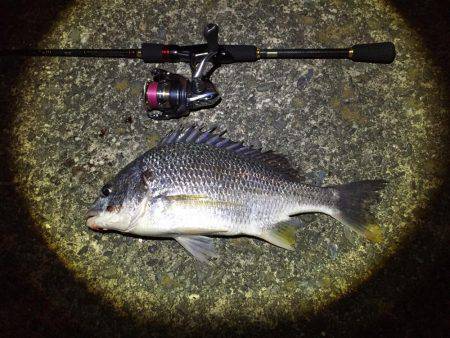 ちょっくらライトゲーム