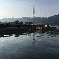 マリーナシティ海洋釣り堀