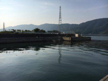 マリーナシティ海洋釣り堀