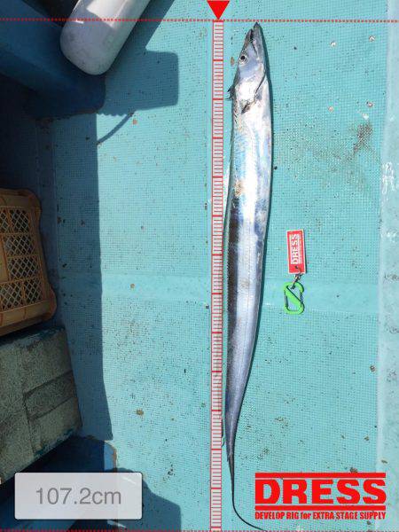 鯛ラバチャレンジ！＆ギガアジ！