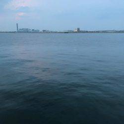 久しぶりのアジング！