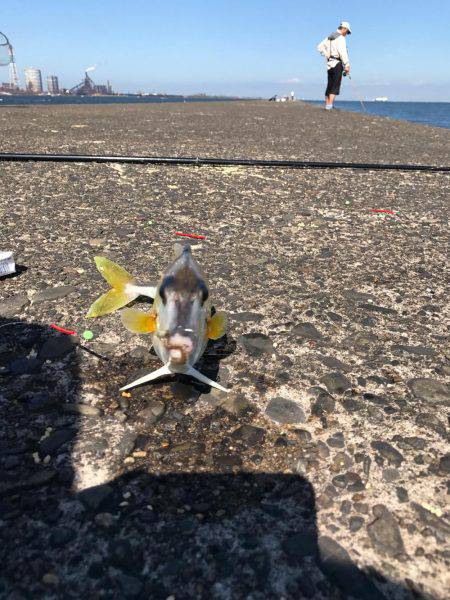 色々釣れました