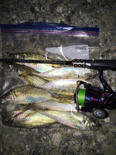 フロートアジング