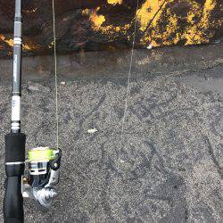 サビキIN四日市港 昼