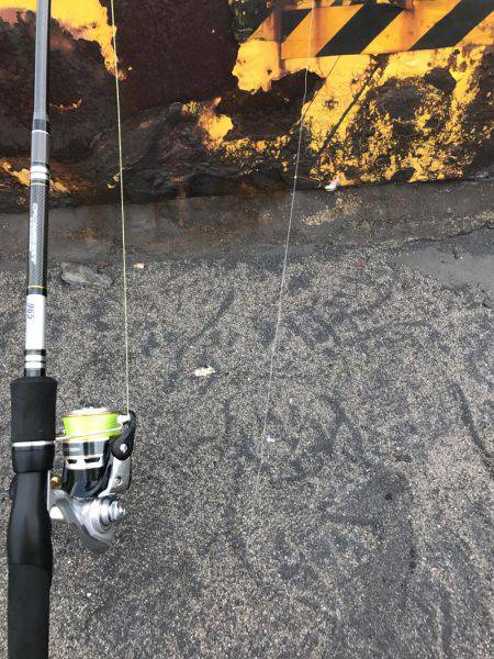 サビキIN四日市港 昼