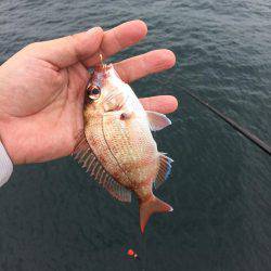 海の日凱旋ならず。