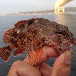 アジュール舞子でガシリング！！