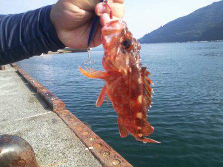 デイの釣りはパッとしない