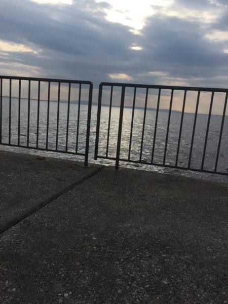 食ってくれた感のみ