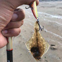 夕まずめIN鈴鹿サーフ