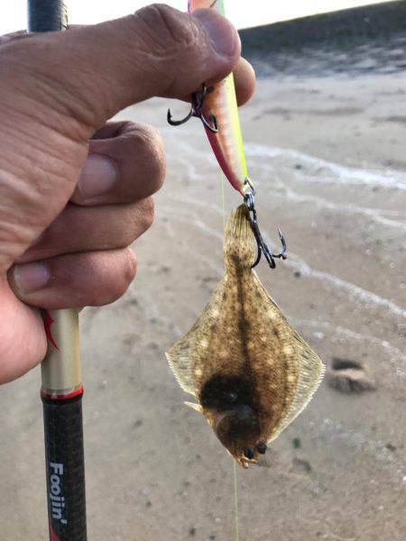 夕まずめIN鈴鹿サーフ