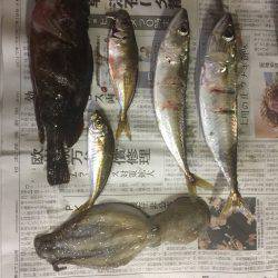 スーパーライトショアジギング