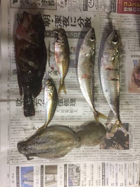 スーパーライトショアジギング