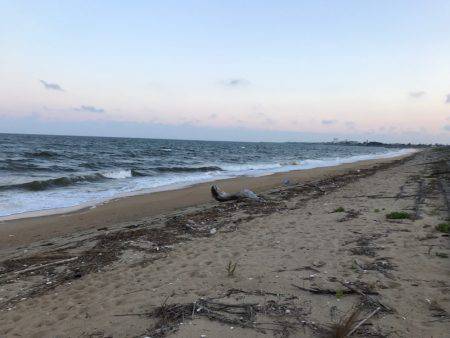 夕まずめから楠サーフ