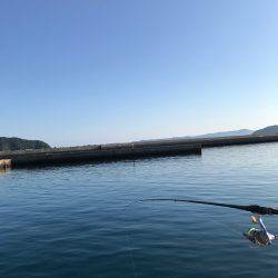 今日の紀州釣り