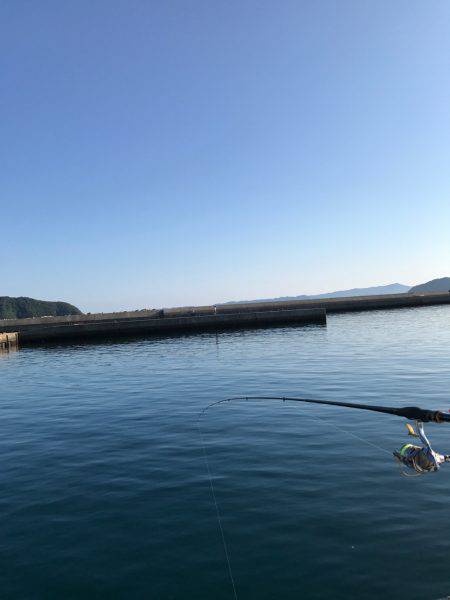 今日の紀州釣り